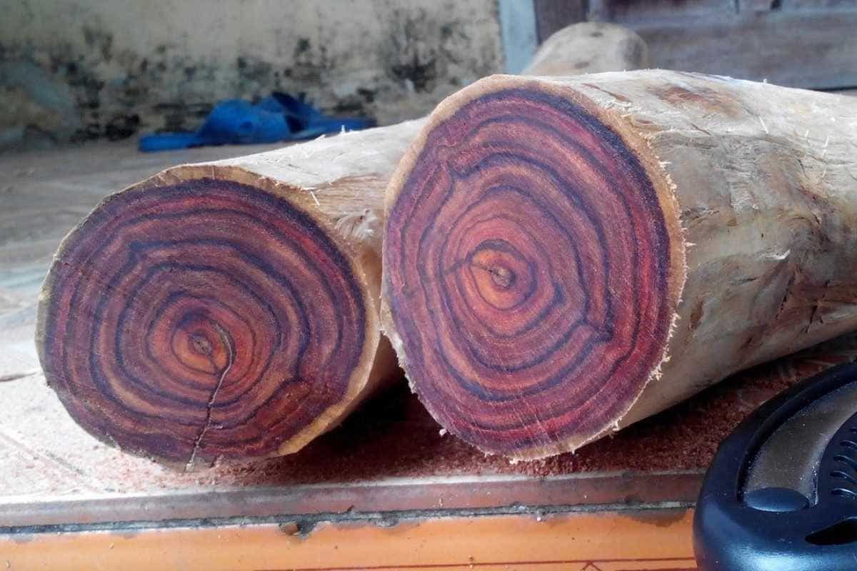Gỗ Sưa là loại gỗ tự nhiên được nhiều gia đình ưa chuộng